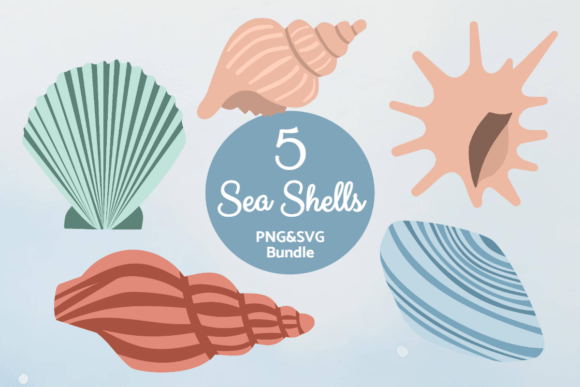 Ocean Shell Collection Review